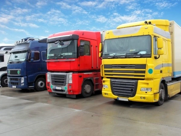 Adana Fıstıkağacı Nakliye